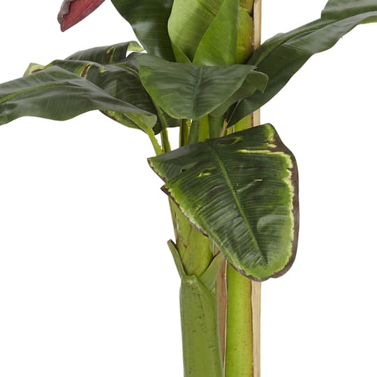 5ft. Potted Banana Tree